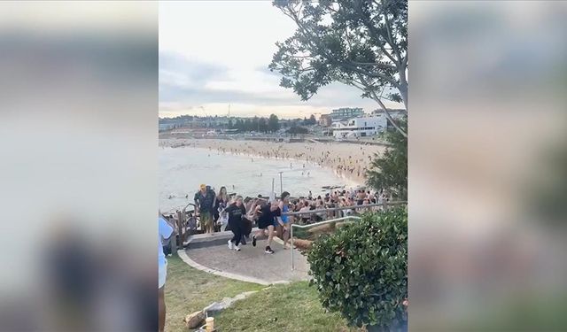Avustralya'nın Sydney kentindeki plajda düzenlenen silahlı saldırıda 12 kişi hayatını kaybetti