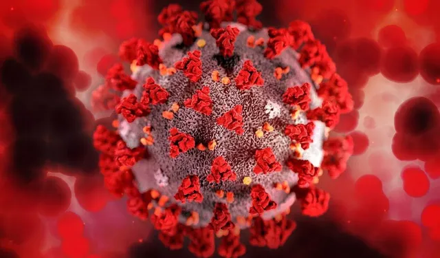 Araştırma: Ölümcül mantar enfeksiyonlarına karşı yeni bir yöntem bulundu