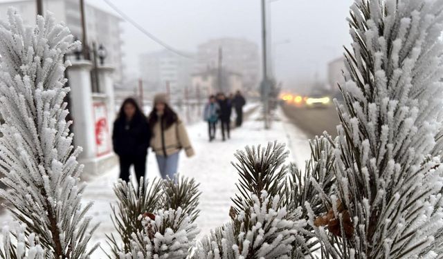 Ardahan Göle'de sıcaklık eksi 40 dereceye yaklaştı
