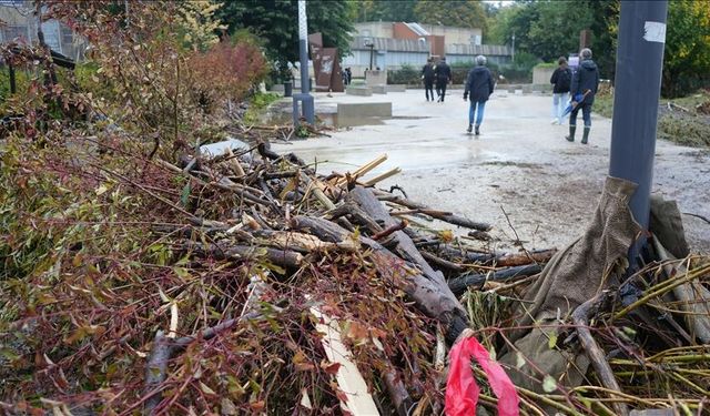 Fransa'nın Mios kentinde hortum yaklaşık 200 eve zarar verdi