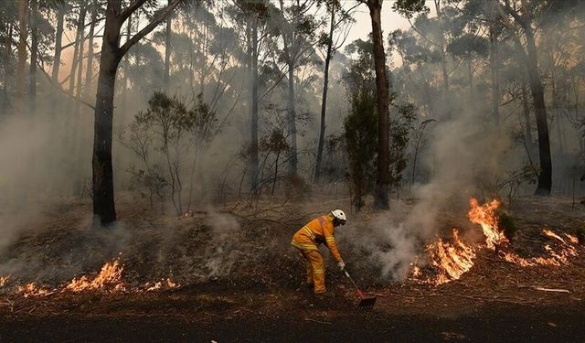 Avustralya'da aşırı sıcaklık uyarıları verilen Victoria eyaletinde yangınla mücadele sürüyor