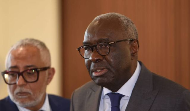 Diagne, BM Güvenlik Konseyi’ni bilgilendirecek