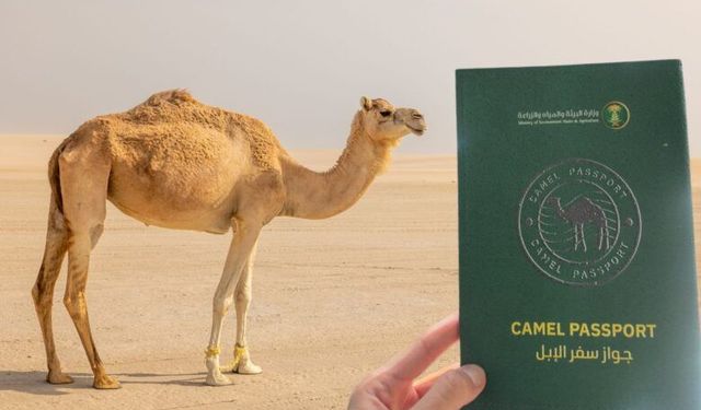 Suudi Arabistan develere kimlik verecek