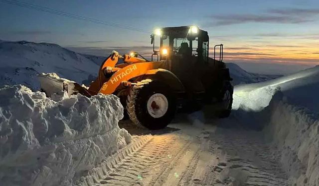 Van beyaza büründü: 78 yerleşim yeri ulaşıma kapandı