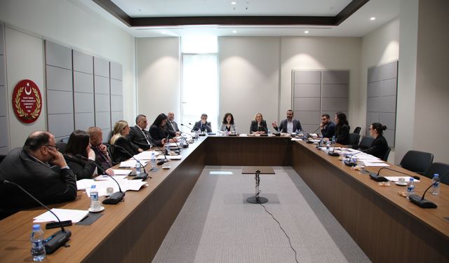 Ceza (Değişiklik) Yasa Tasarısı komitede görüşüldü