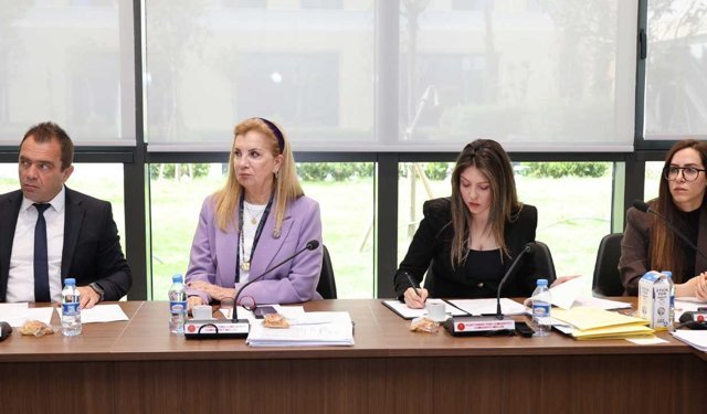Meclis Komitesi Kamu Finansmanı Kararnamesini Genel Kurul’a Sevk Etti