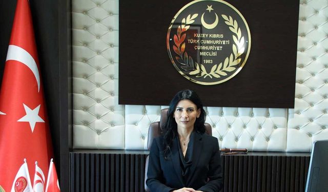 Özdenefe: "Kadına Yönelik Şiddetle Mücadele Devletin Ertelenemez Sorumluluğudur"