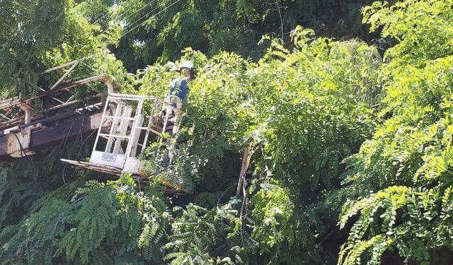 Haspolat Ağıllar ve Levent Çiftliği’nde 2 saatlik elektrik kesintisi