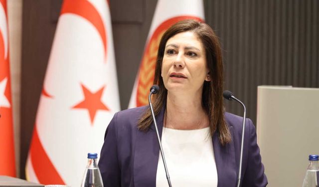İncirli: Araştırma komitesi hızlı çalışmalı, belgelerle ilerlemeli
