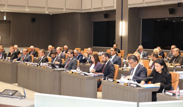 Cumhuriyet Meclisi'nde gemi faciasıyla ilgili "araştırma komitesi" kuruldu