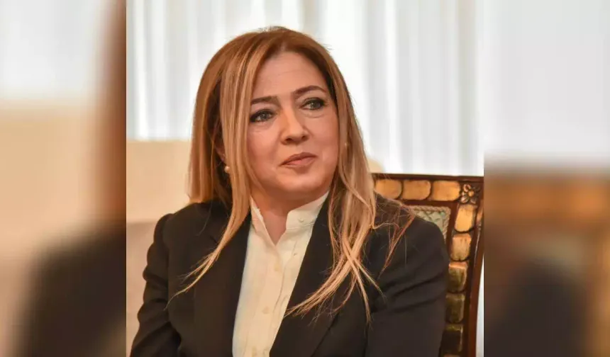 Varol: Karara bağlanmayan yasa gücünde kararnameler 90 günde yürürlükten kalkar