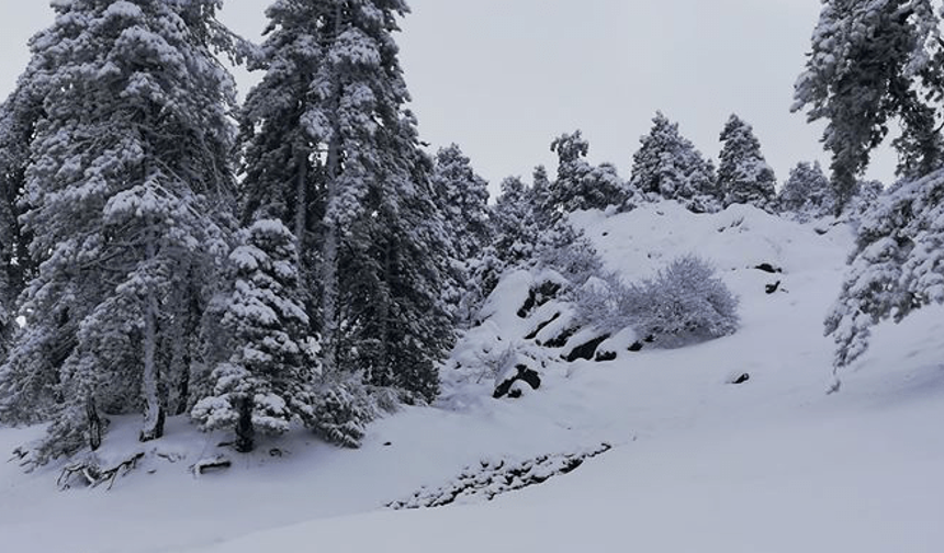 Troodos’ta Kar Bekleniyor: Hava Soğuyor
