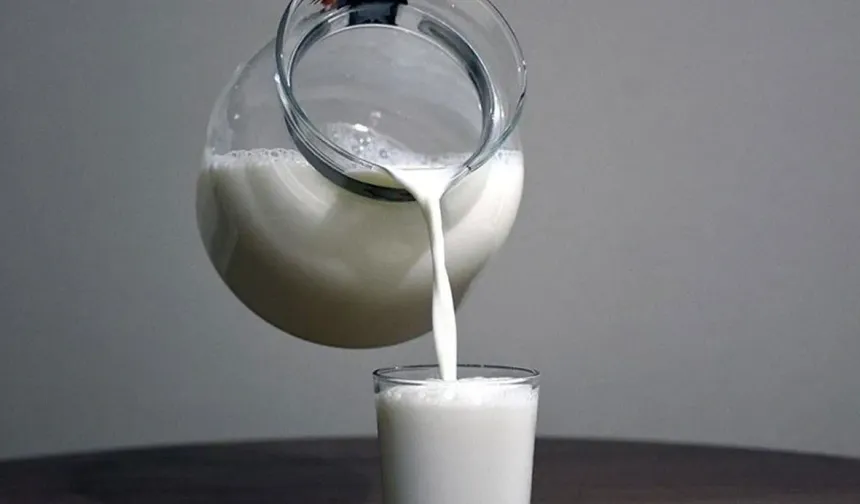 Güney Kıbrıs'ta şap hastalığına rağmen inek sütü üretiminde artış