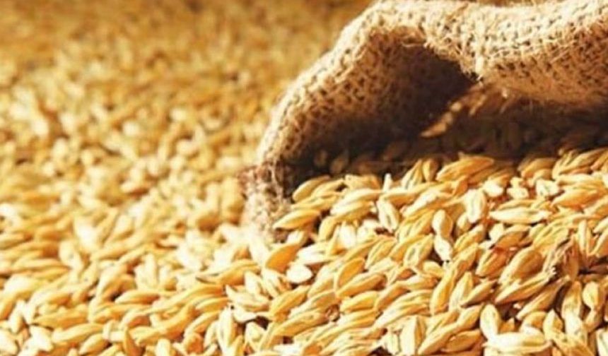 TÜK, yemlik arpanın Çarşamba günü gelmesinin beklendiğini açıkladı
