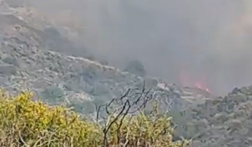ABD’li kuruluş yangın raporunu teslim etti