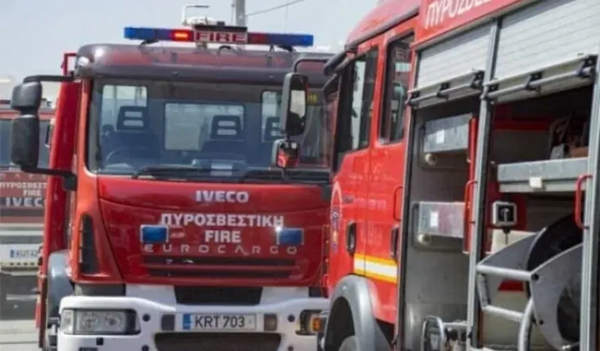 Yer Güney Kıbrıs... Binden fazla yeni doğmuş küçükbaş hayvan telef oldu