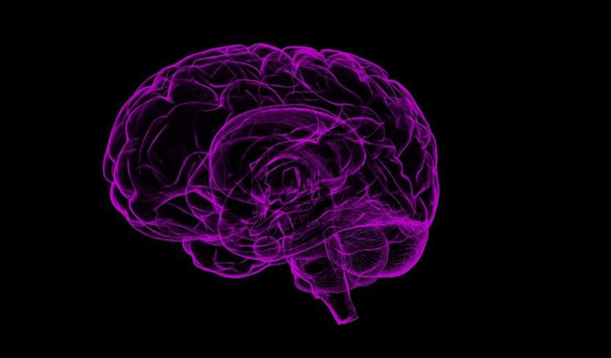 Erkek beyni daha hızlı yaşlanıyor: Peki neden Alzheimer kadınlarda daha yaygın?