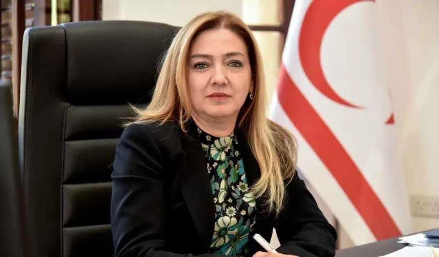 Ombudsman, yurt dışındaki ameliyat masraflarına ilişkin bir başvuruyu değerlendirdi