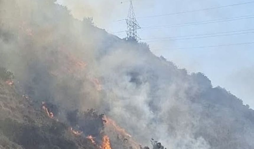 Limasol’da korkutan yangın!