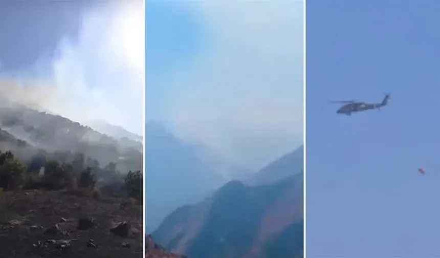 Hakkari'de orman yangını: Yüksekova'da alevlerle mücadele sürüyor