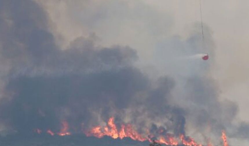 Güney Kıbrıs’ın Omodos Bölgesi’nde yangın