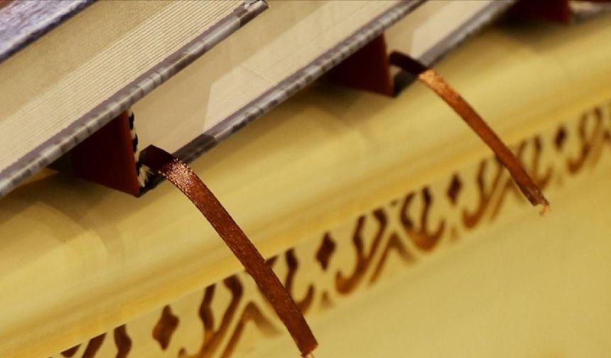 Cambridge Sözlüğü'ne yeni kelimeler eklendi