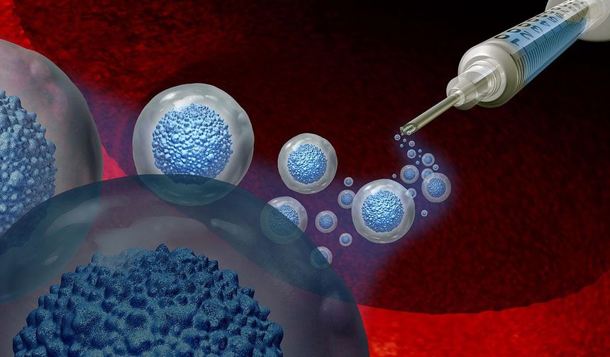 Bilimsel araştırma: Yaşlanan hücreler yeniden gençleştirilebilir