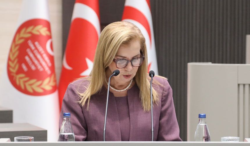 Canaltay: Kapsamlı ve modern yöntemlerle yürütülecek bir nüfus sayımına ihtiyaç duyuyoruz
