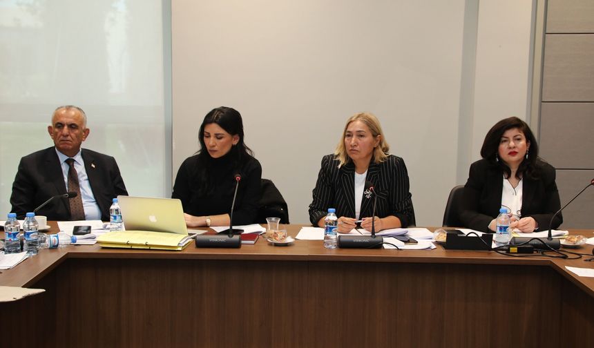 Hukuk, Siyasi İşler, Dışilişkiler ve Savunma Komitesi, Ceza (Değişikik) Yasa Tasarısı’nı görüştü