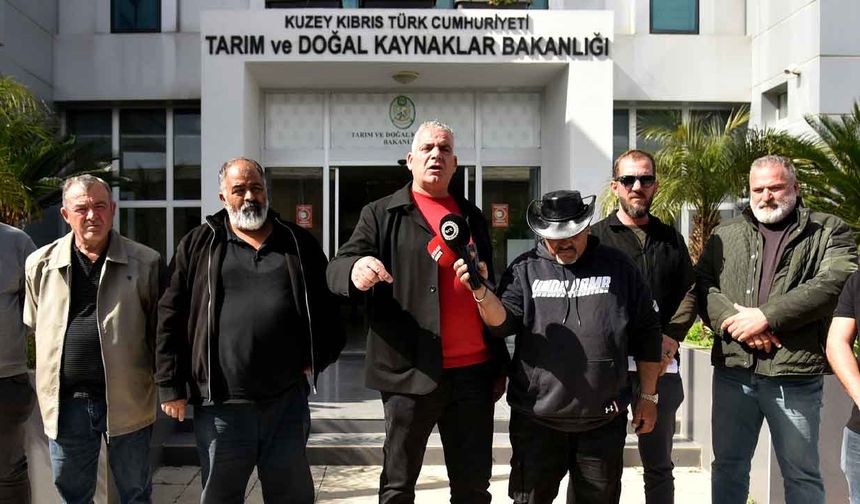 Hayvancılar: Ayda 12 Bin Ton Arpaya İhtiyaç Var