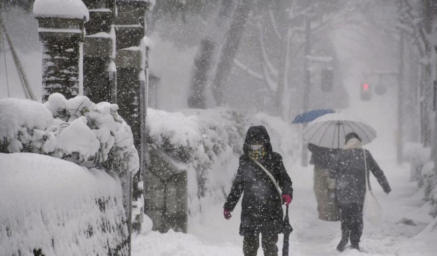 Japonya'da şiddetli kış şartlarından kaynaklanan can kayıplarının sayısı 46'ya yükseldi