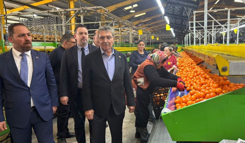 Başbakan Üstel Güzelyurt’ta: Valencia için rekor fiyat geliyor