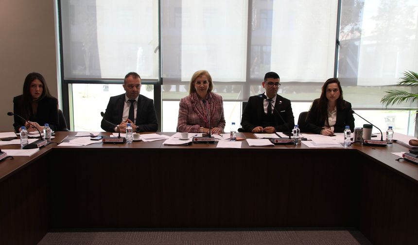 Ekonomi, Maliye, Bütçe ve Plan Komitesi motorlu araçlar ve pasaportlarla ilgili yasa değişikliklerini onayladı