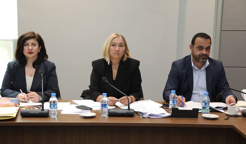 Hukuk, Siyasi İşler, Dışilişkiler ve Savunma Komitesi toplandı