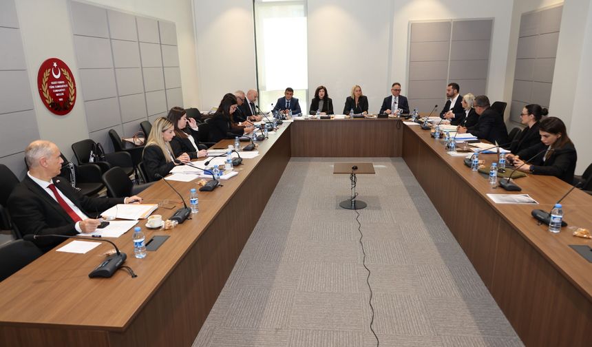 Hukuk, Siyasi İşler, Dışilişkiler ve Savunma Komitesi üç yasa tasarını ele aldı