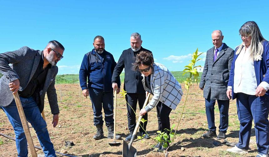 Zerrin Üstel, “Toprağa hayat, geleceğe nefes oluyoruz” fidan dikim etkinliğine katıldı