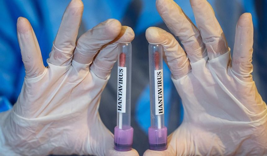 DSÖ: Hantavirüs vakalarıyla ilgili durum istikrarlı