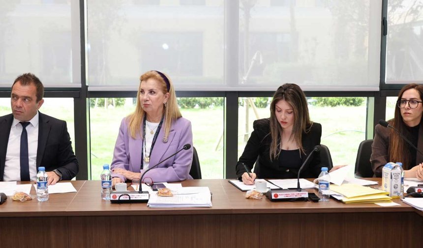 Meclis Komitesi Kamu Finansmanı Kararnamesini Genel Kurul’a Sevk Etti