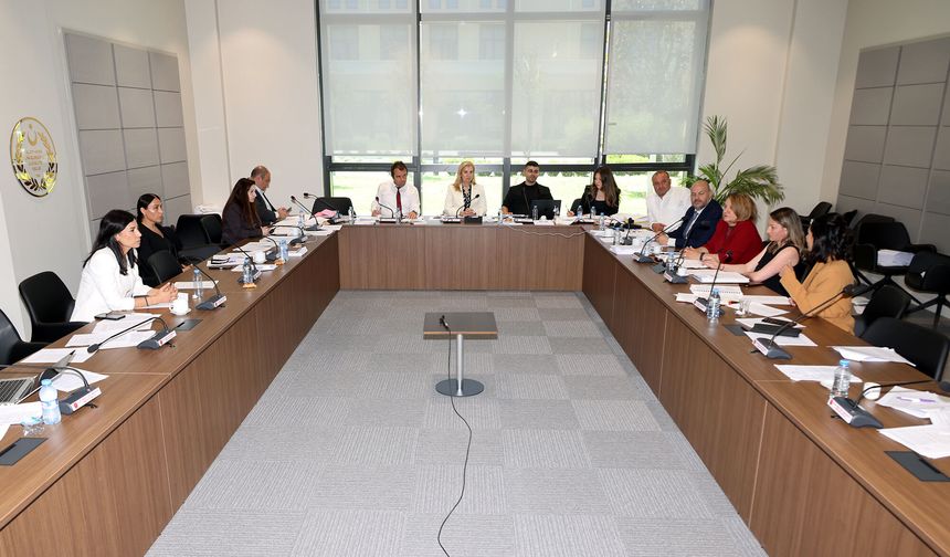 Ekonomi, Maliye, Bütçe ve Plan Komitesi Kamu İhale (Değişiklik) Yasa Tasarısı’nı görüştü