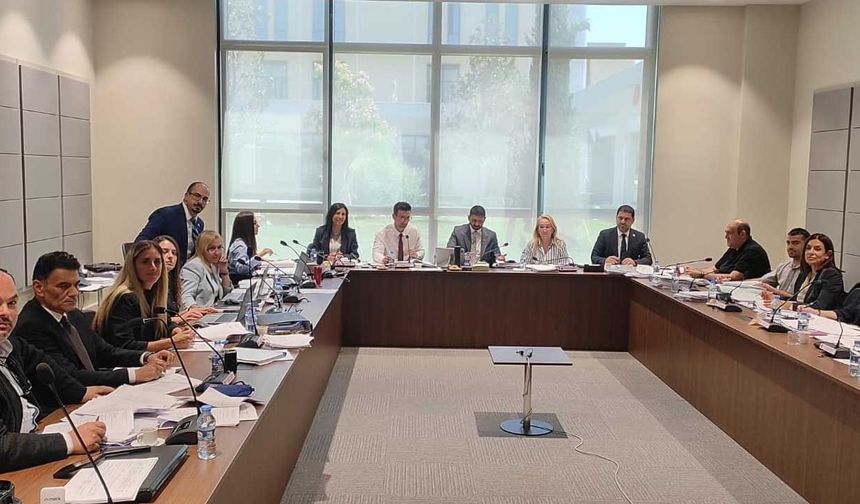 İdari, Kamu ve Sağlık İşleri Komitesi iki yasa tasarısını görüştü