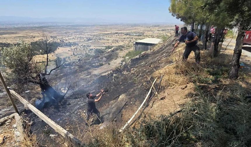 Taşkent Doğa Parkı yakınlarındaki yangın söndürüldü