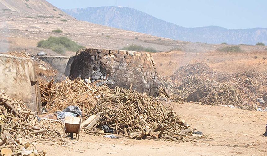Yetkisiz kömür ocağı yaktı, tutuklandı