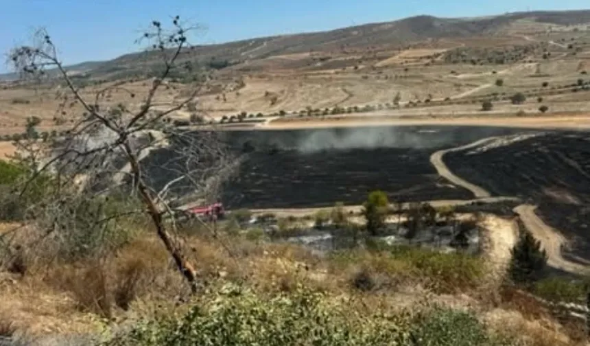 Güney Kıbrıs'ta büyük yangın!