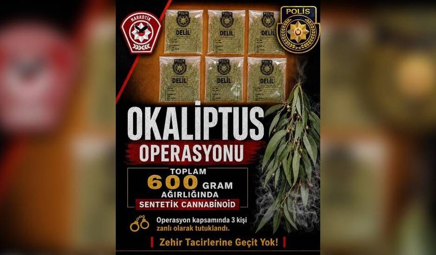 Narkotik’ten uyuşturucu tacirlerine “Okaliptus Operasyonu”: 3 tutuklu