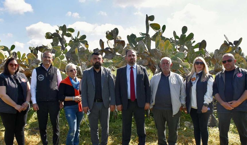 Tarım Bakanlığı: Zararlılara karşı doğal mücadelede büyük ilerleme sağlandı