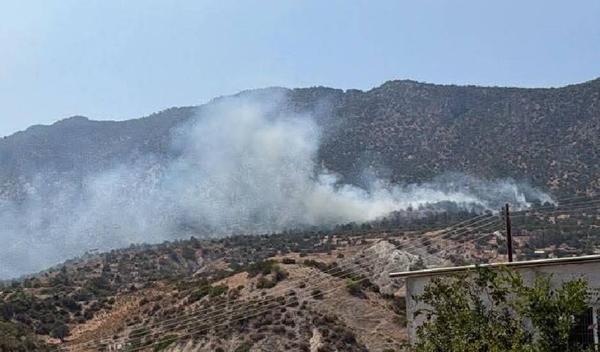 Tirmen’deki yangın kontrol altına alındı