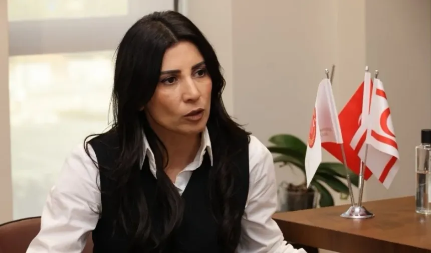 Özdenefe: Cumhurbaşkanı ile CTP arasında istişare yapıldığı iddiası maksatlı